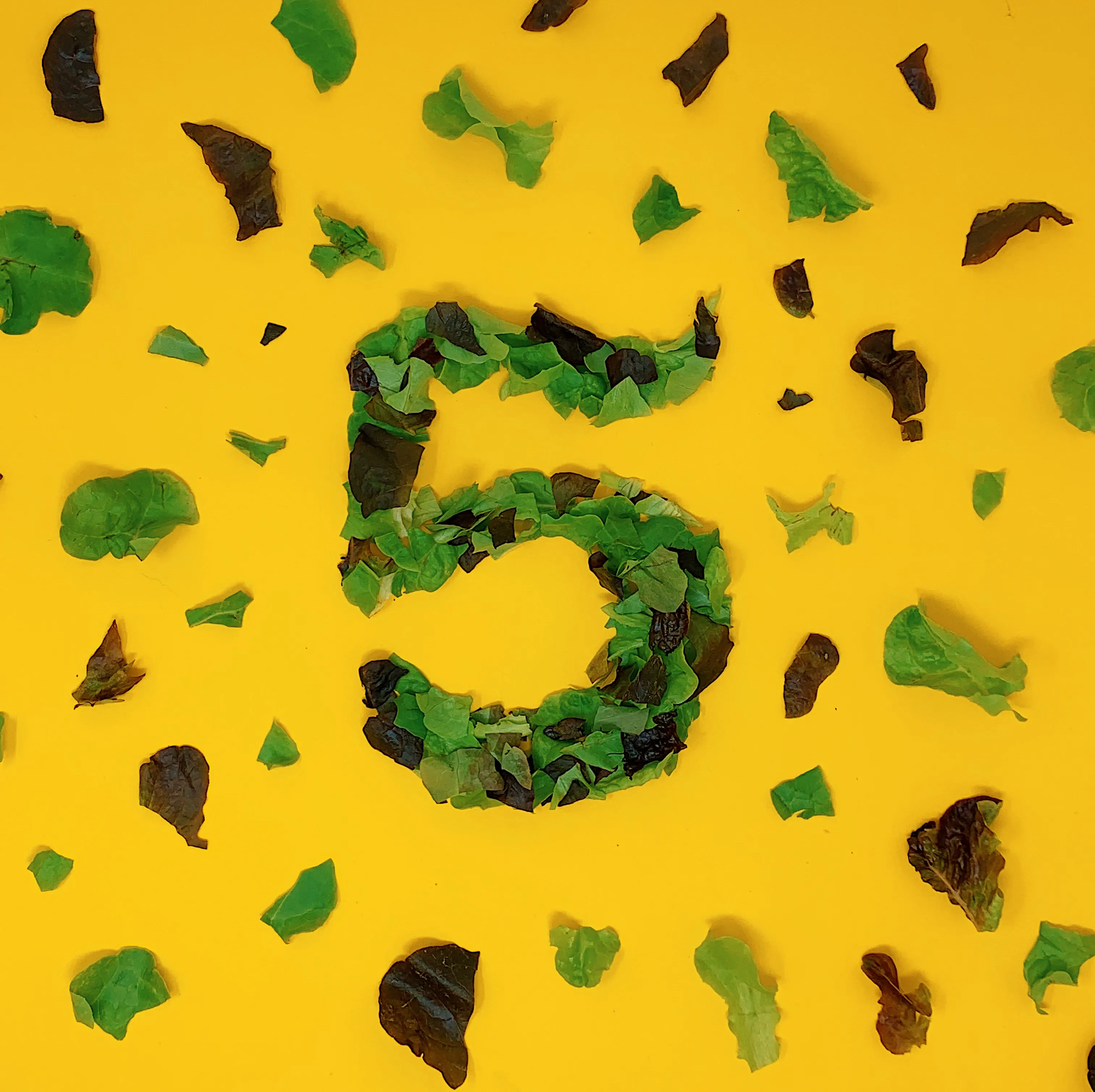 5 made from food