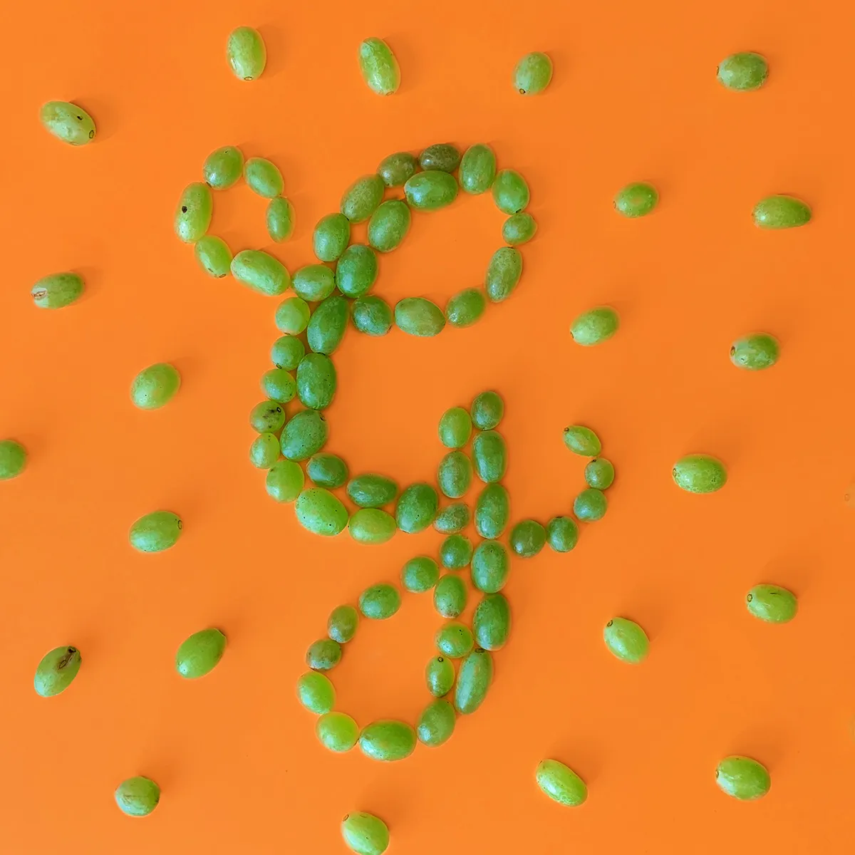 G made from food