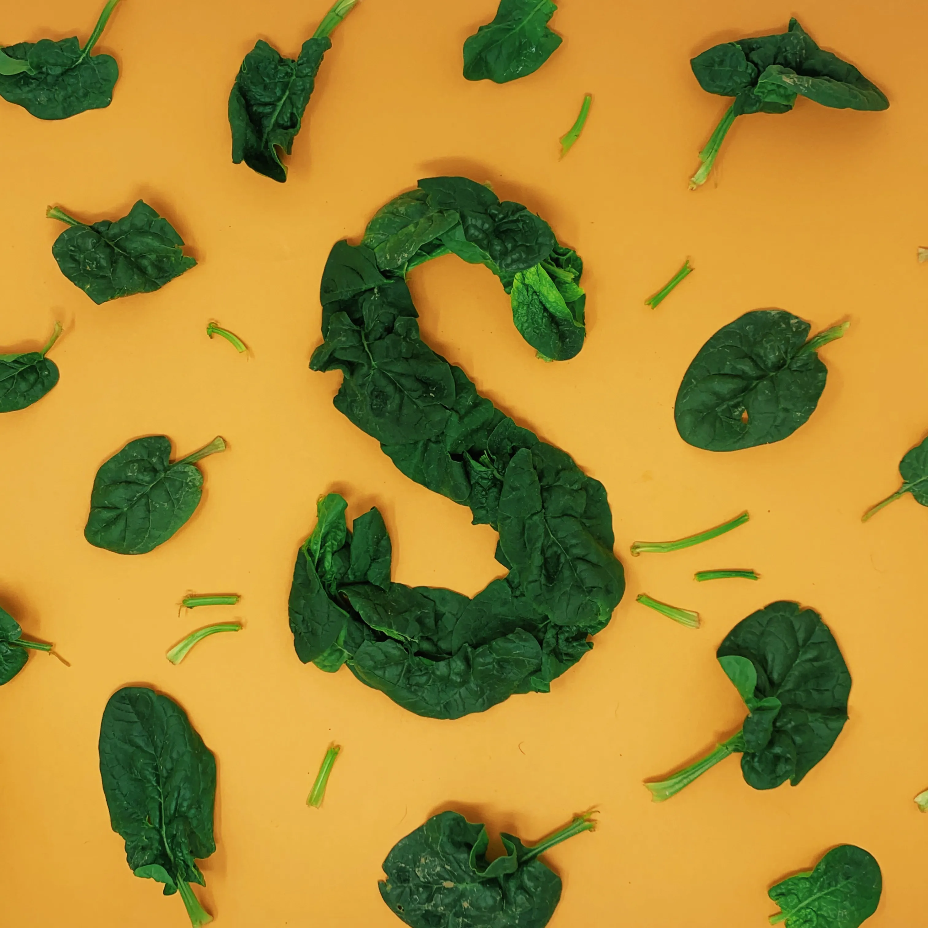 S made from food