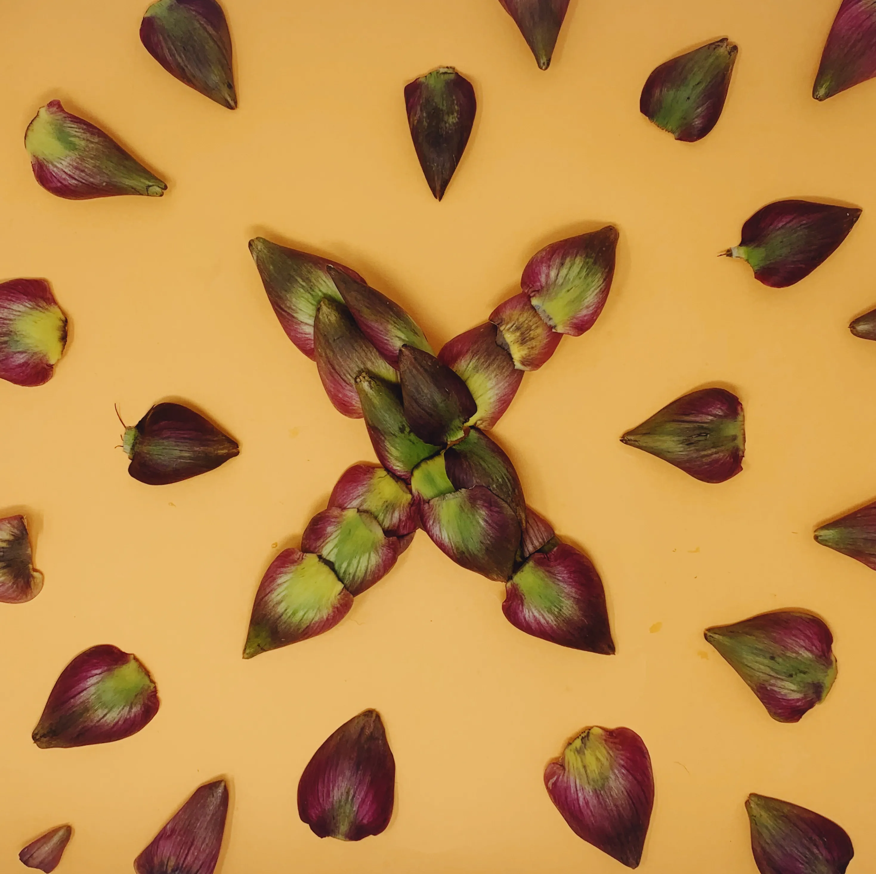 X made from food