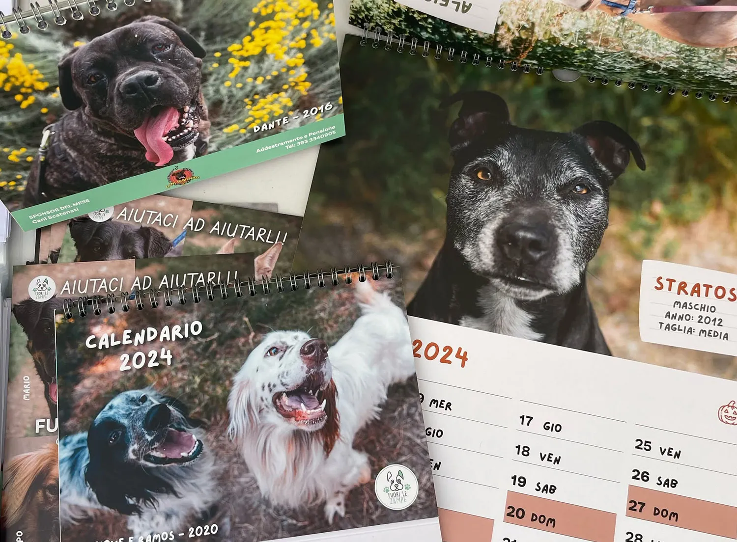 Fuori le Zampe - Calendars