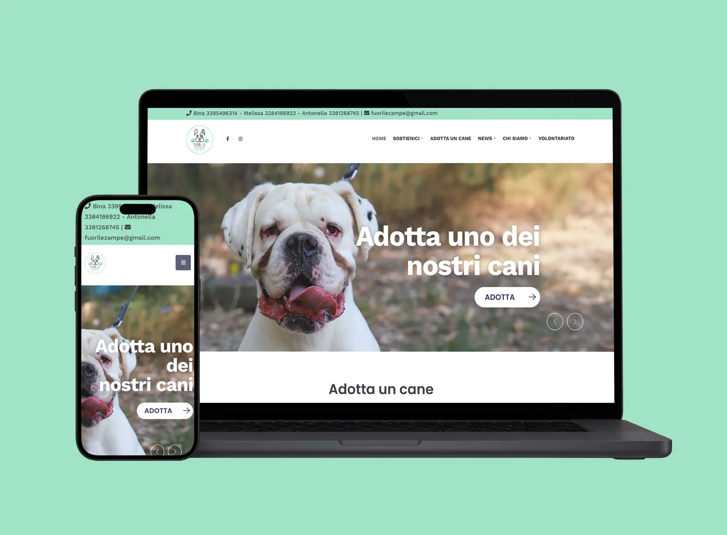 Fuori le Zampe - Website