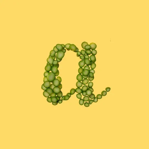 Food Alphabet