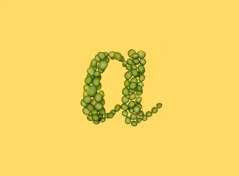 Food Alphabet